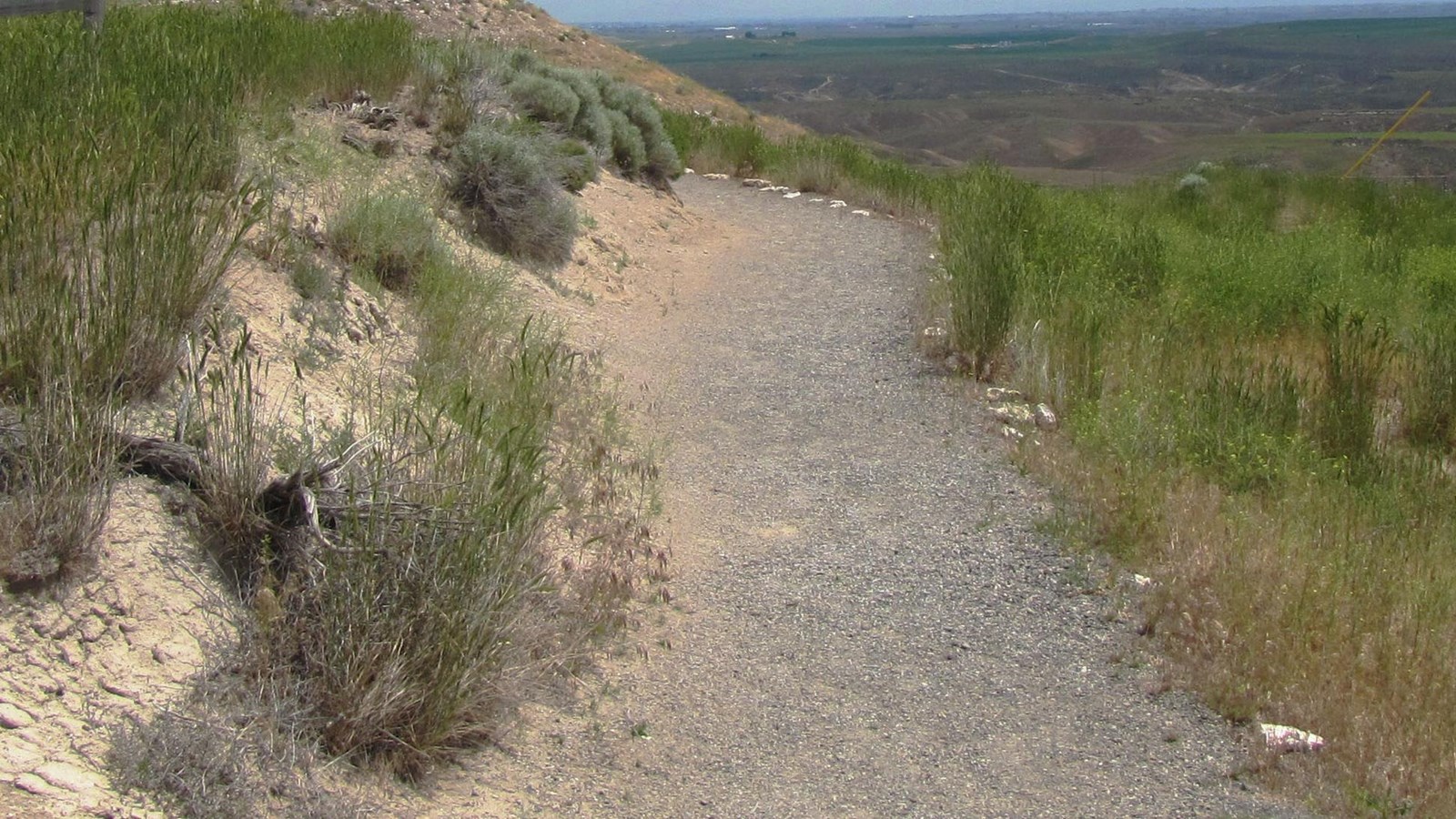 gravel path in desert scrub with wood fence leading off into blue sky