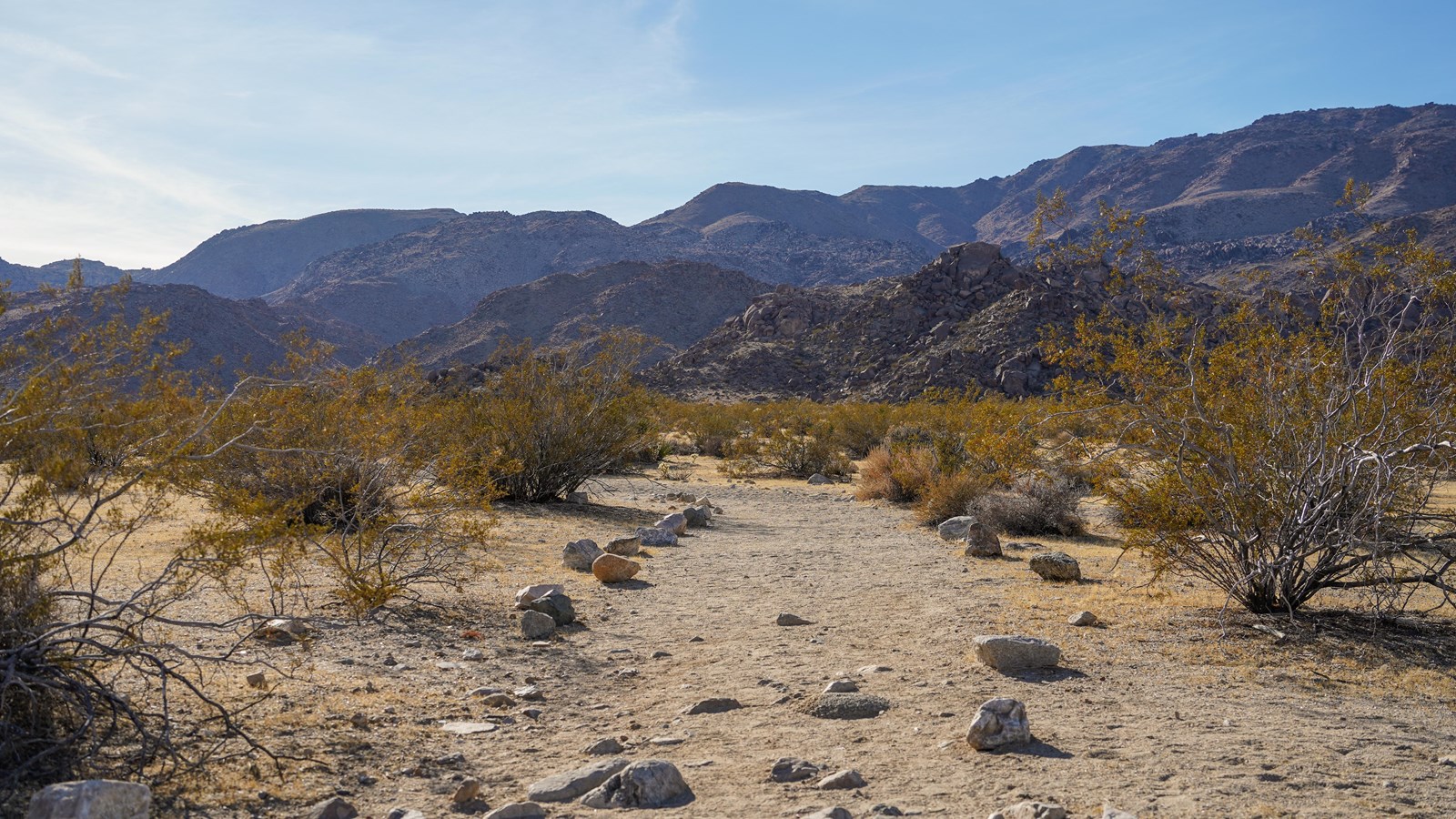 A dirt path lined with rocks and plants leads its way towards mountains in the the background. 