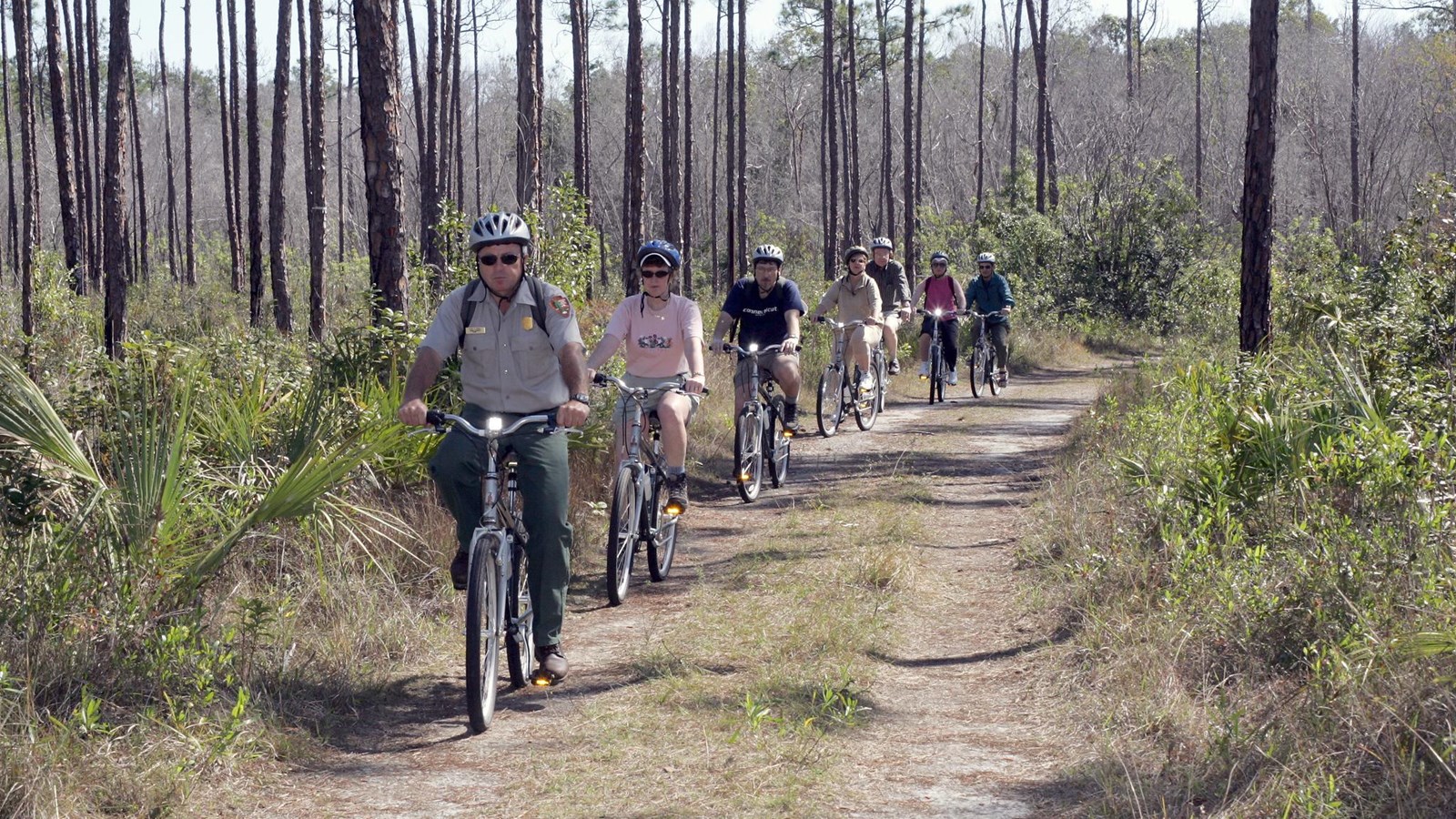 Helmeted bikers follow a ranger down a dirt path. Tall slash pine trees line both sides