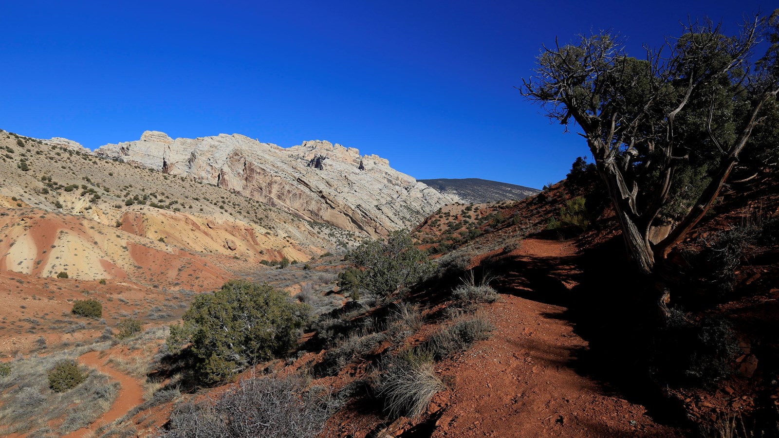 A dirt trail winding through a reddish desert landscape.