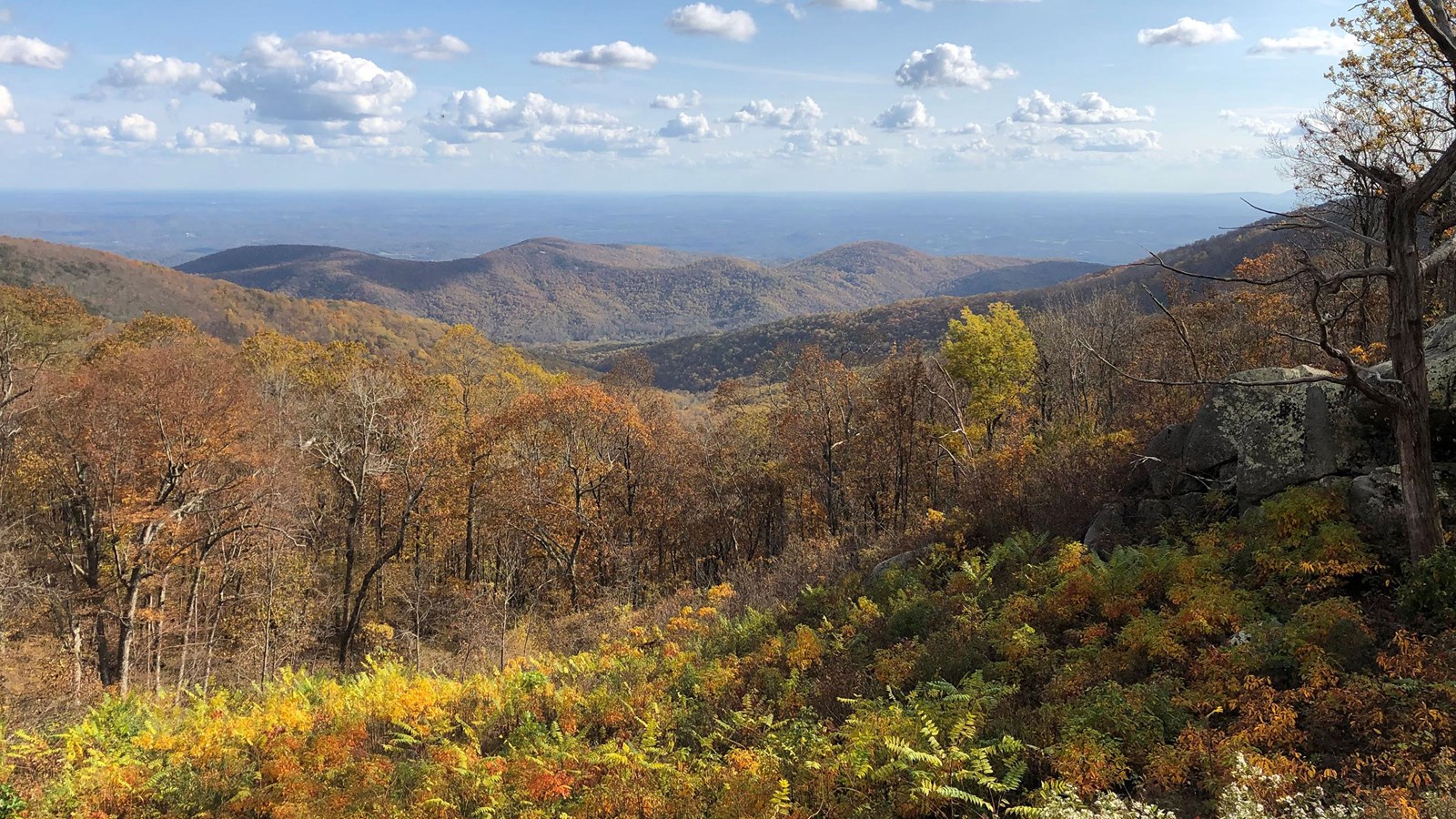 Golden fall colors cloak mountainsides and fill a valley below
