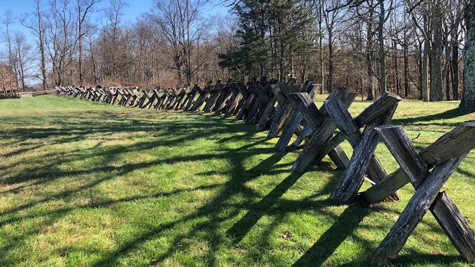 A historic log fence runs through a green field into the forest in the distance.