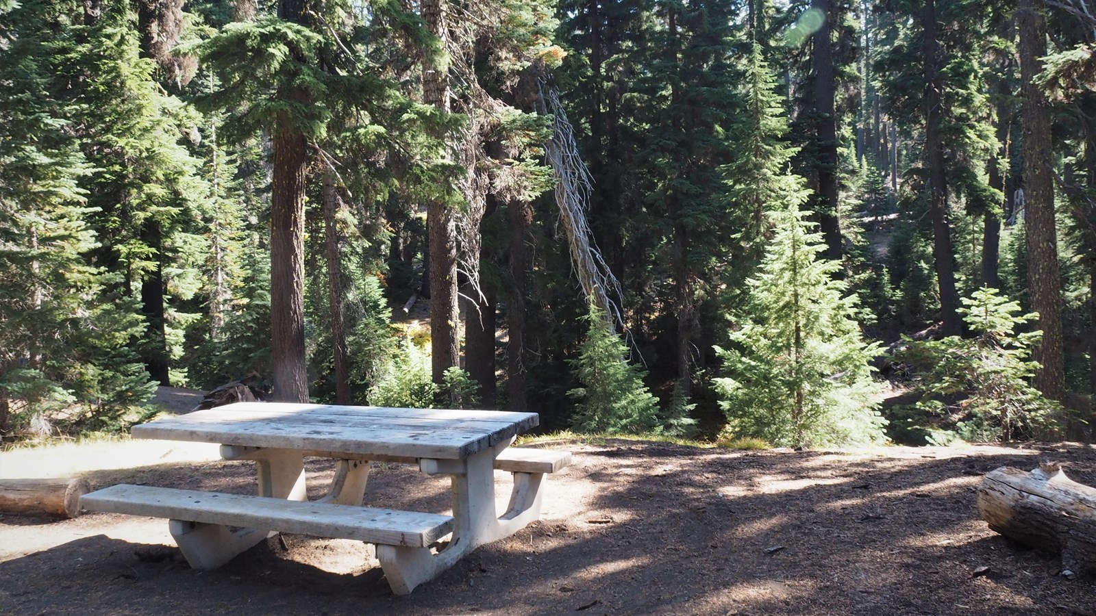 A concrete base picnic table with wood top and benches shadowed by a tall forest
