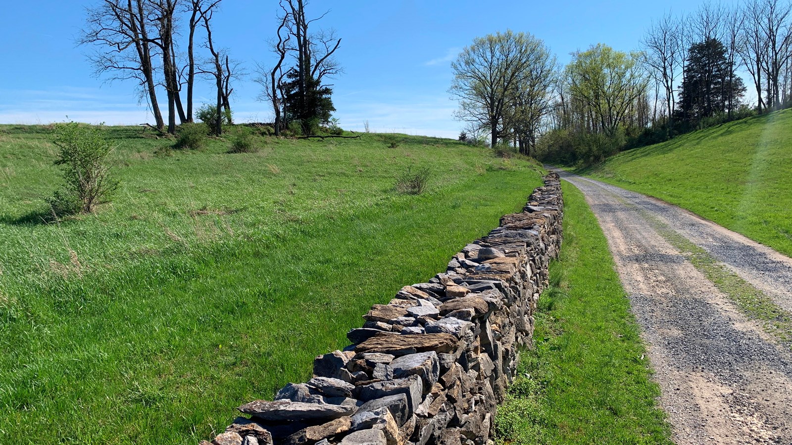 gravel lane with green grass fields on either side