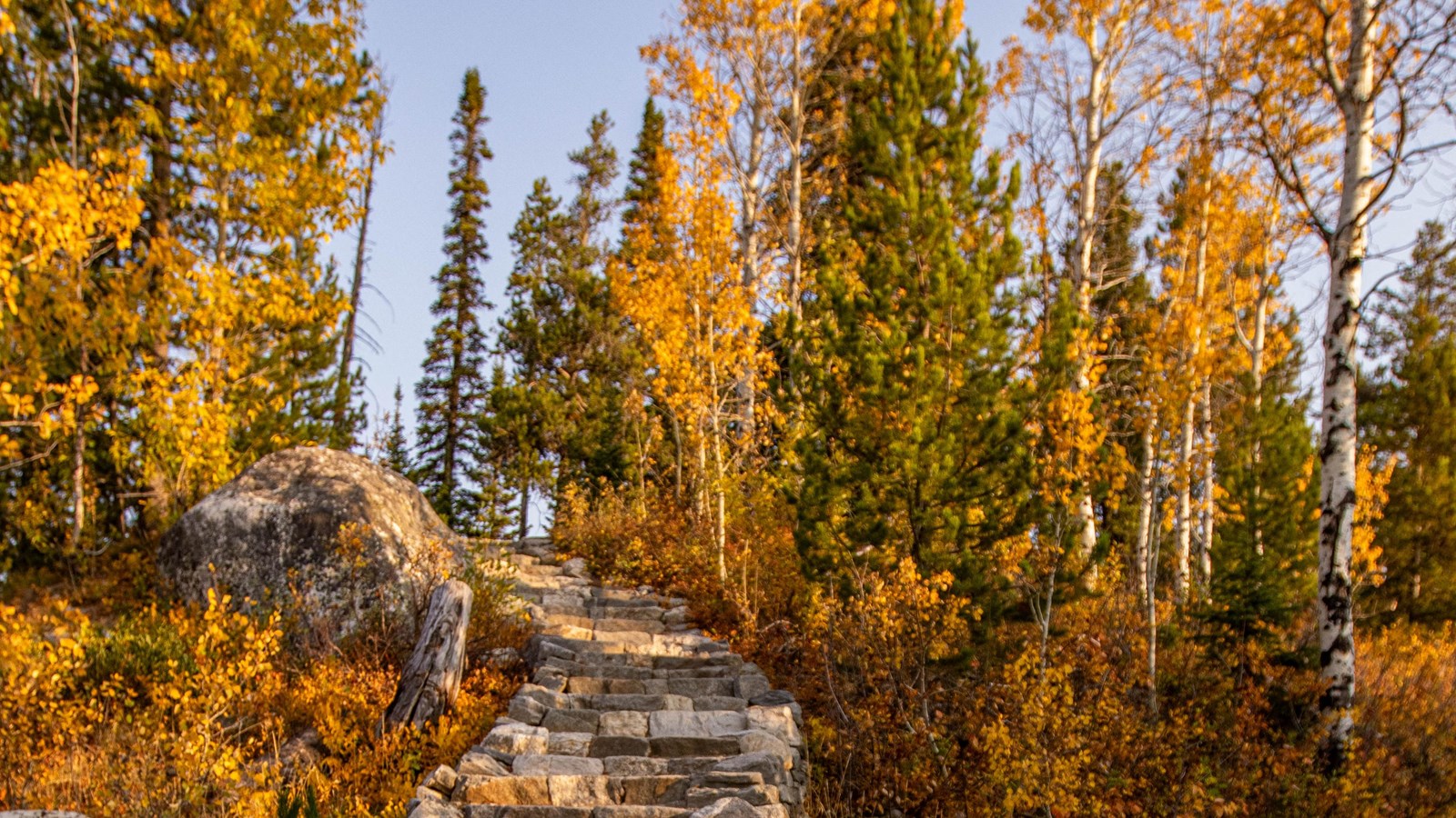 Stairs to Aspen Knoll