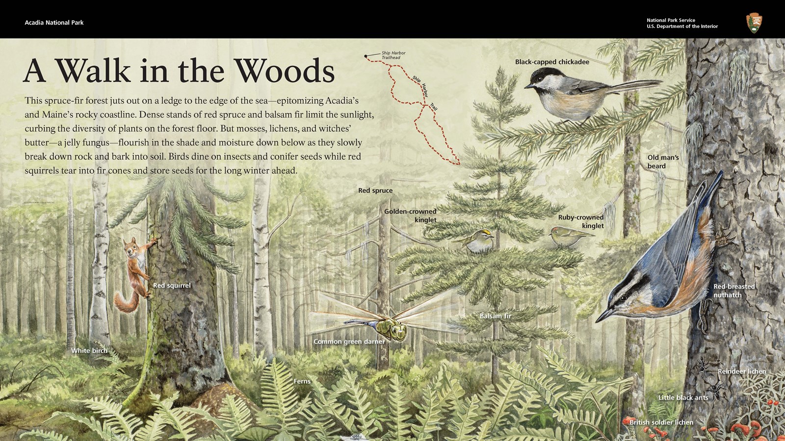 Image of an interpretive wayside entitled, 