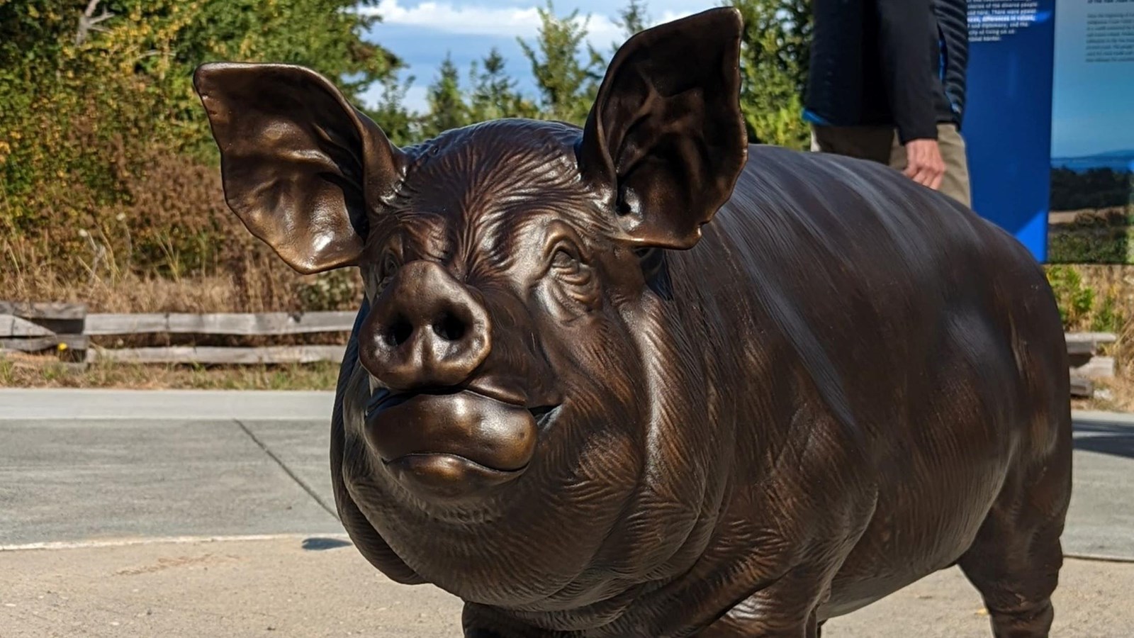 Bronze statue of a pig with a potato in its mouth