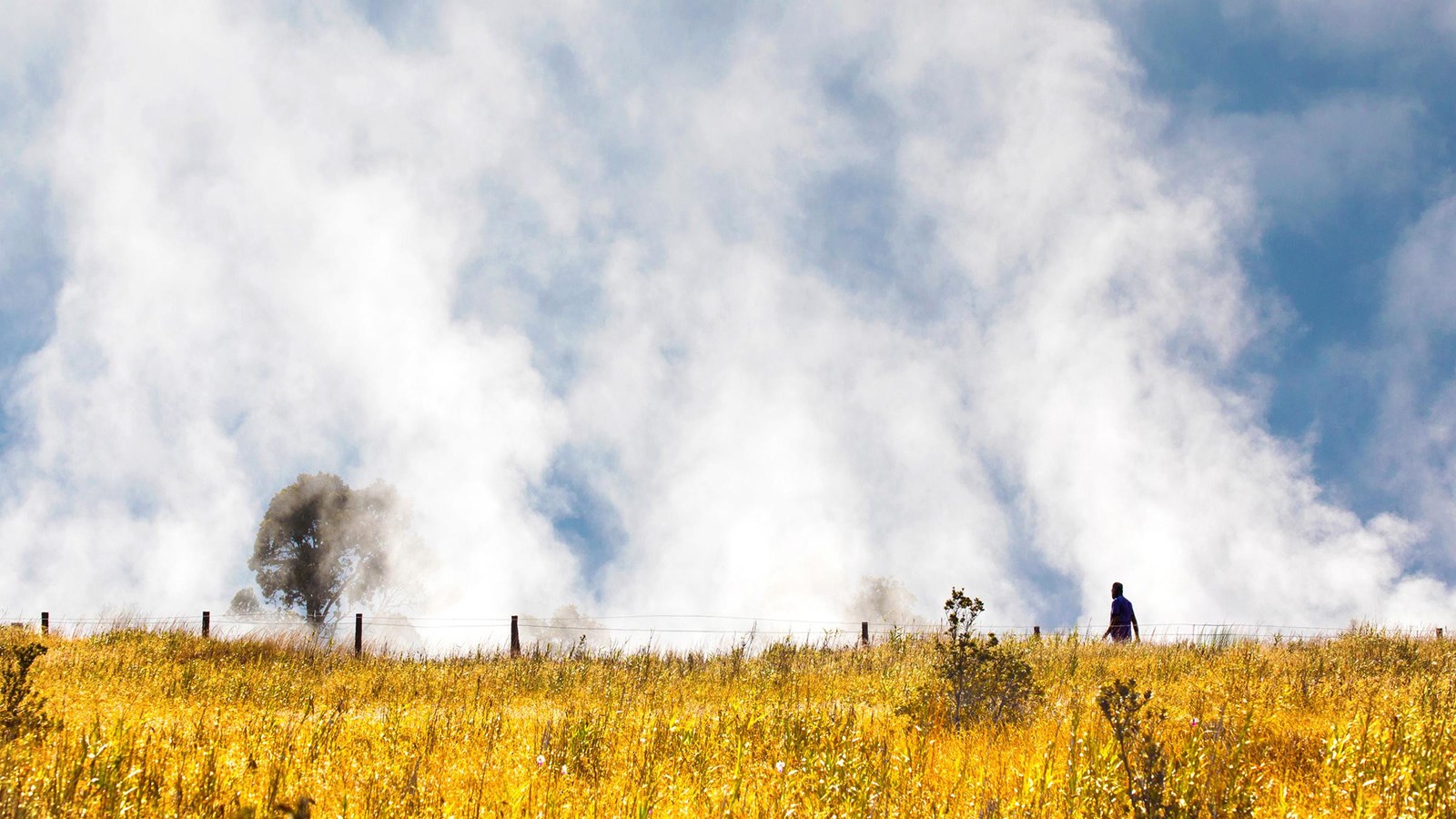 A broad expansive steaming plain. 