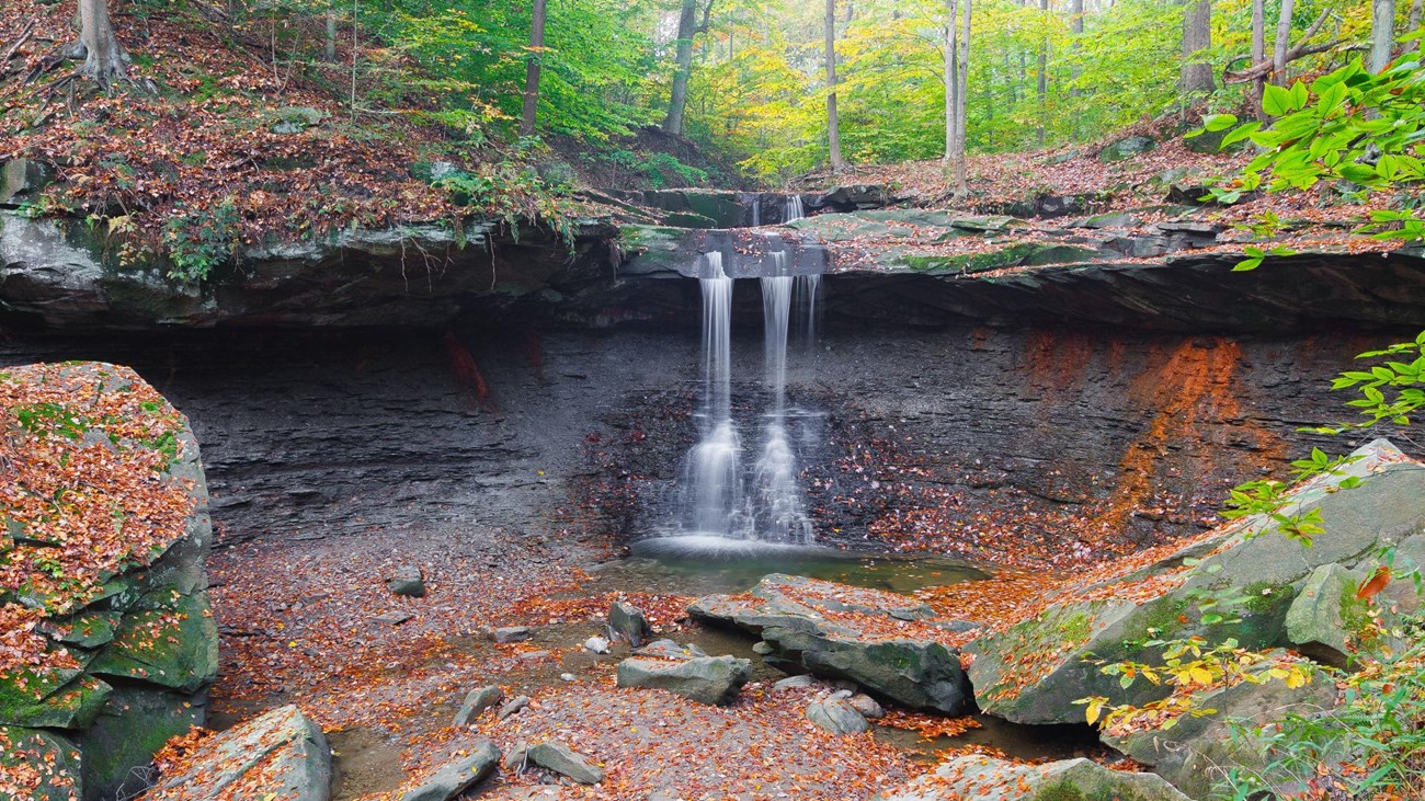Water falls from a rim of gray rock, trees in the background; orange leaves dot the rocky hollow.