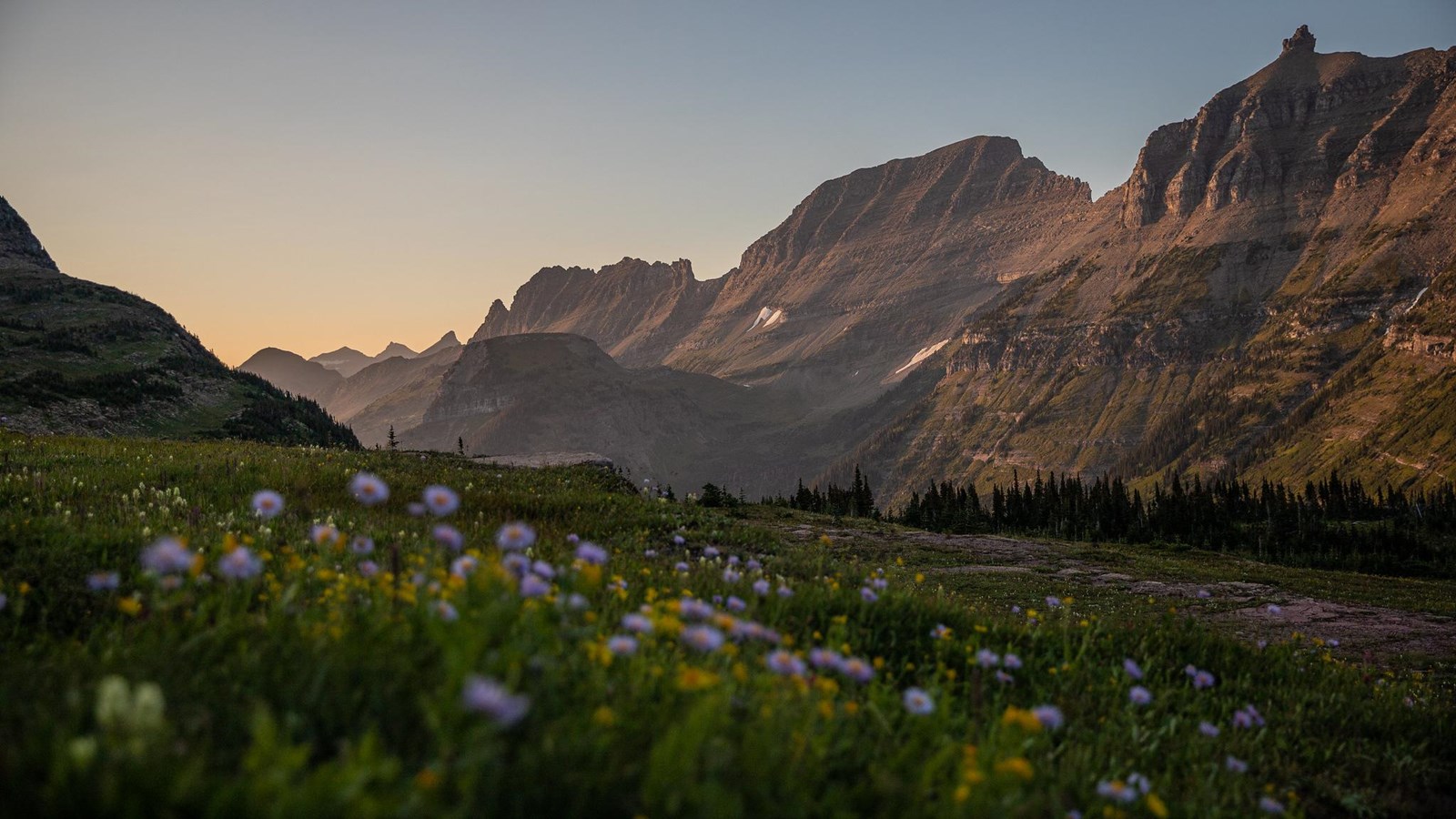 Subalpine wildflowers and Logan Pass