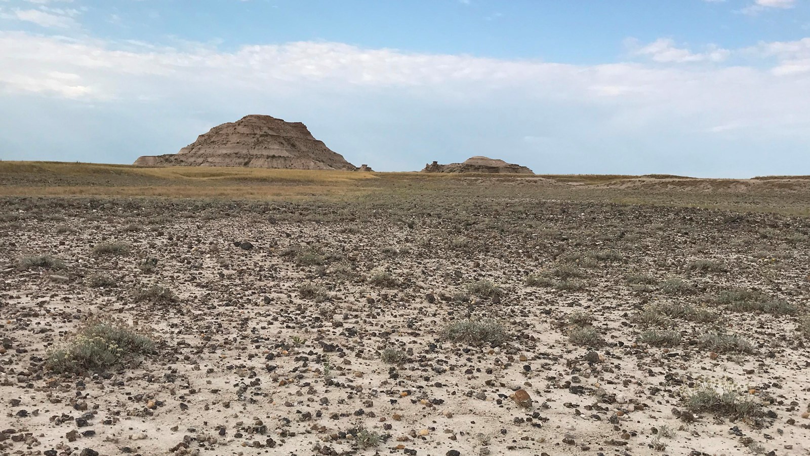 Flat expanse of land with sparse grasses and numerous pebbles under a blue sky.