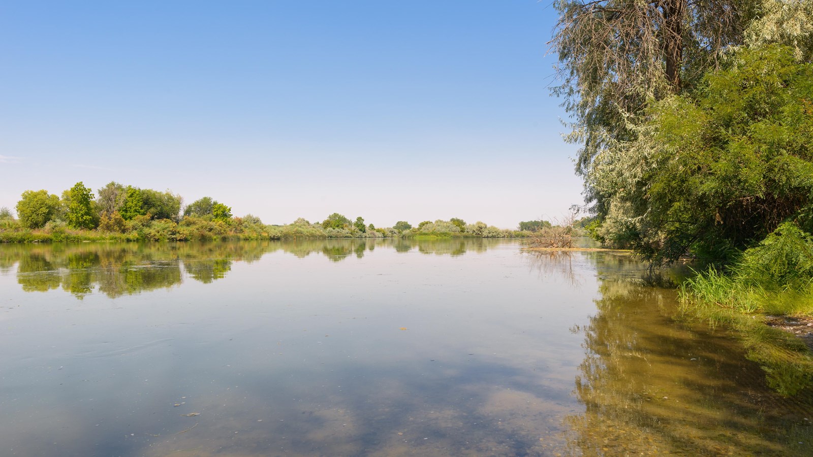 Still waters of a river under blue sky with green trees and shrubs lining both banks.