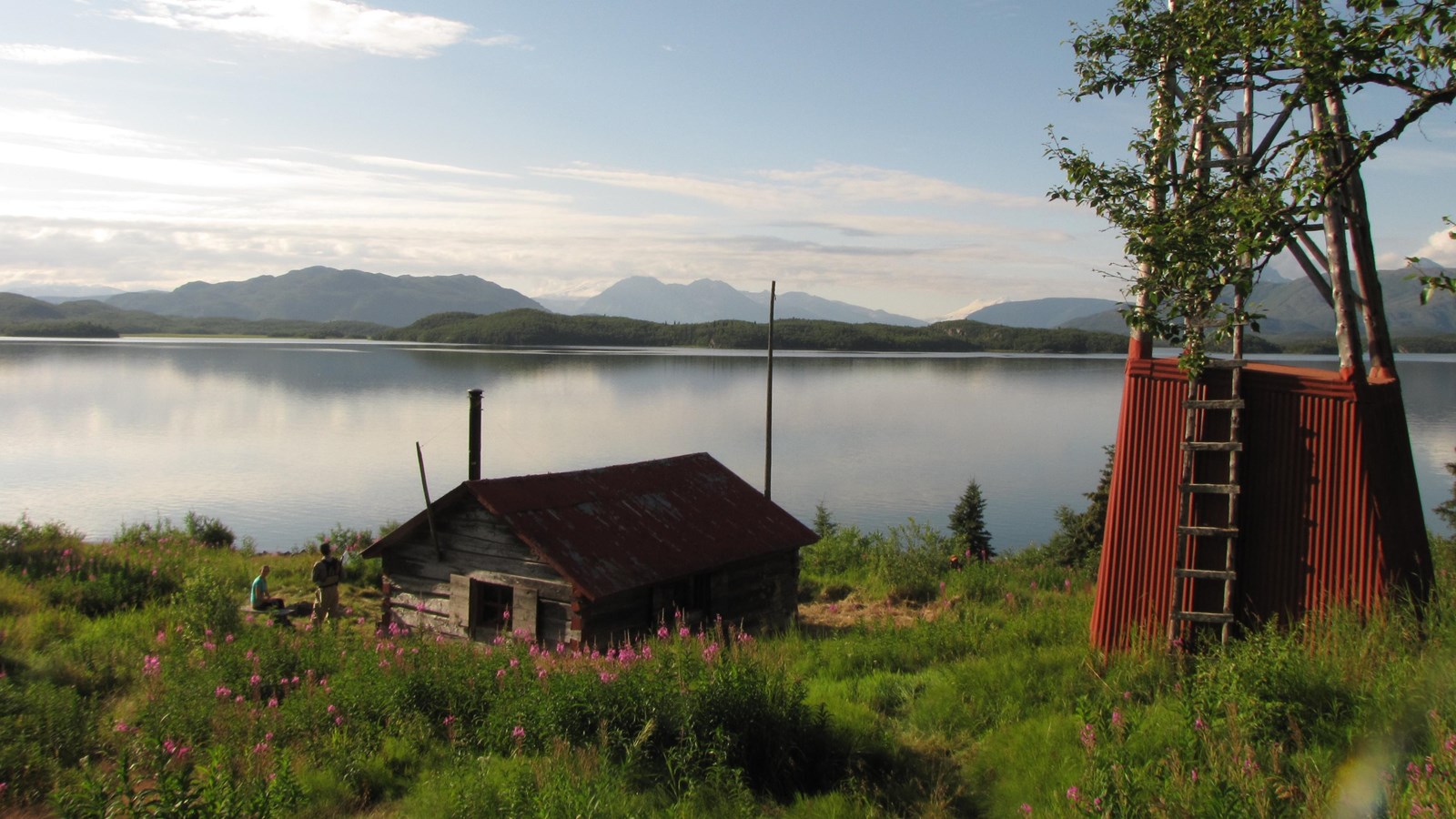 A small cabin surrounded by fireweed and lake in the background