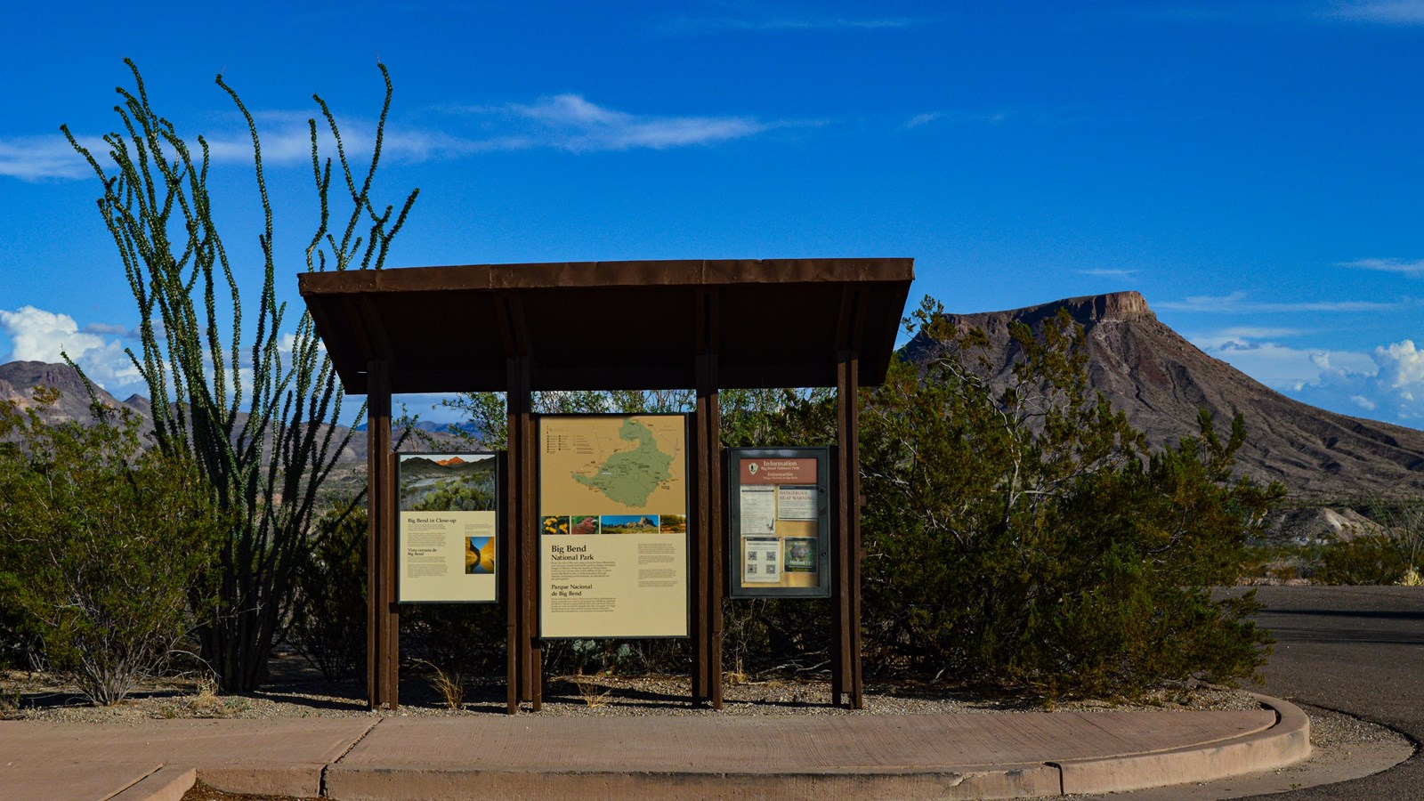 A covered bulletin board with three panels sits next to an ocotillo, with a mountain behind.