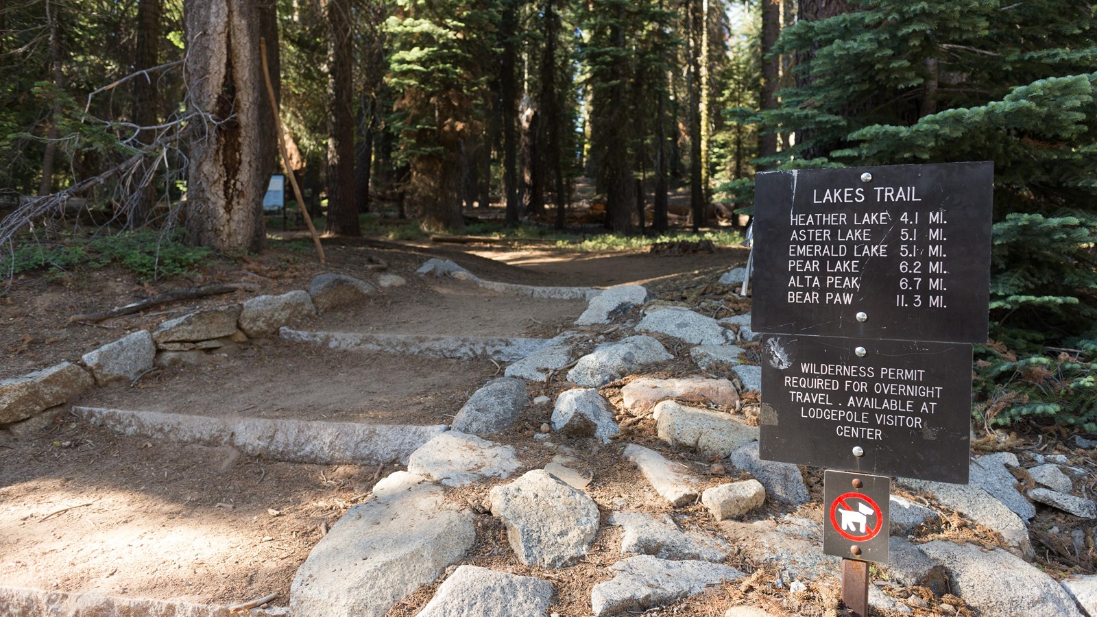 Dirt steps lead up to a metal sign beyond it are large trees