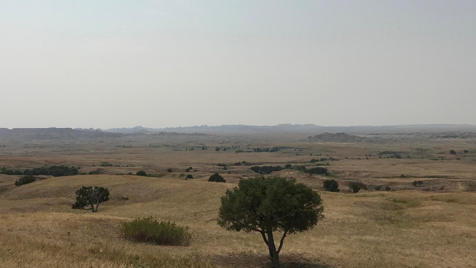Prairie landscape with mixed grasses and trees extending for miles into horizon under blue sky.
