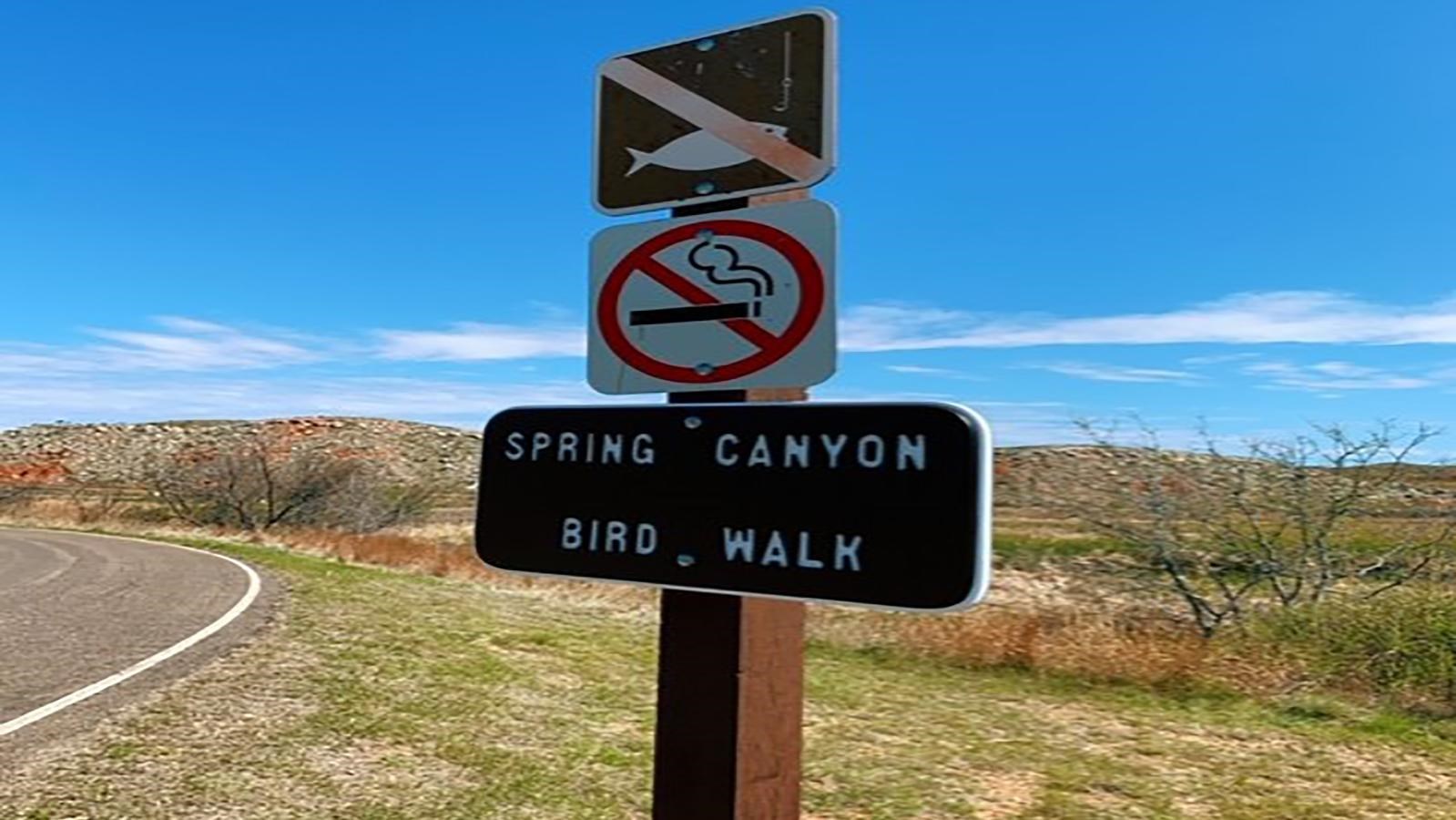 Birdwatching at Spring Canyon