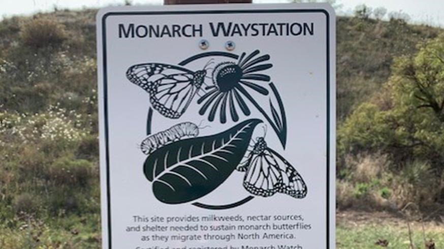 The Butterfly Garden at Alibates Visitor Center is a certified Monarch Waystation