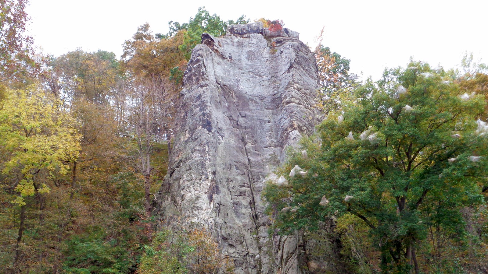 A rock face projects dramatically above dense tree coverage