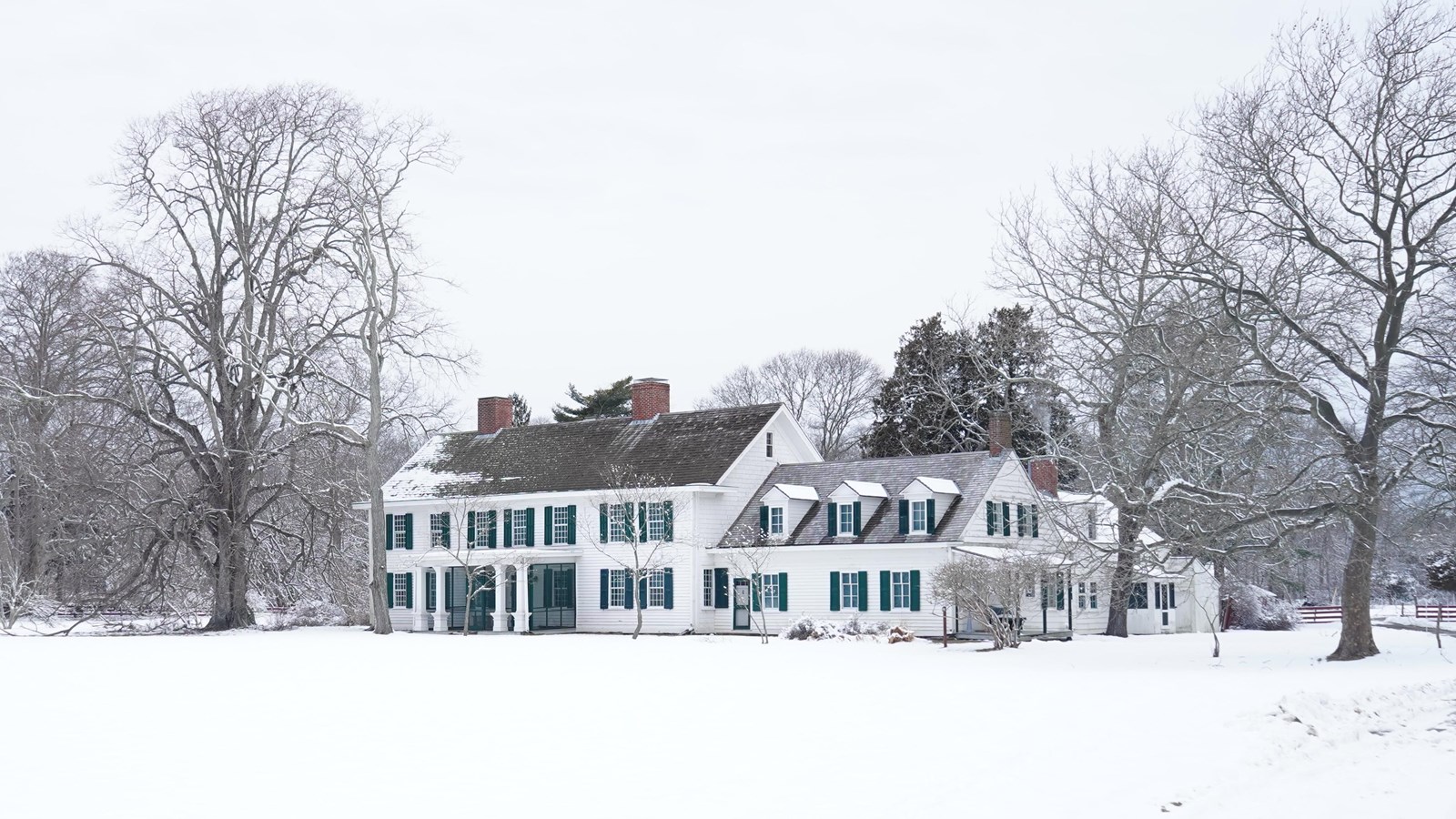 A white colonial estate with green shutters is surrounded by trees and snow.