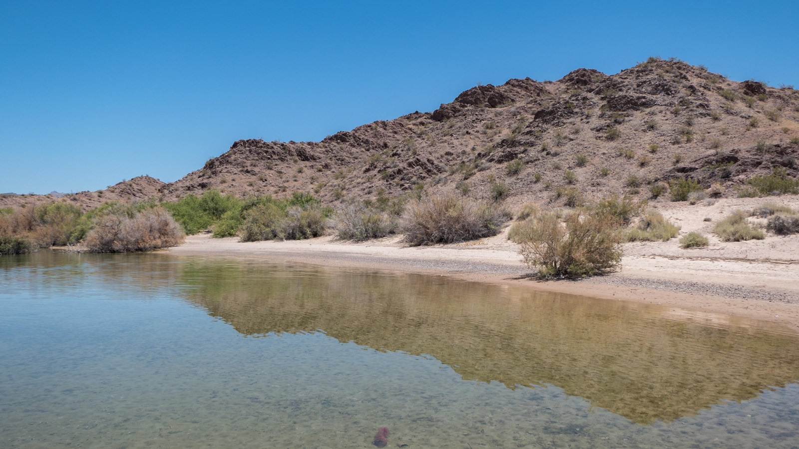 Lake with shore in the desert.