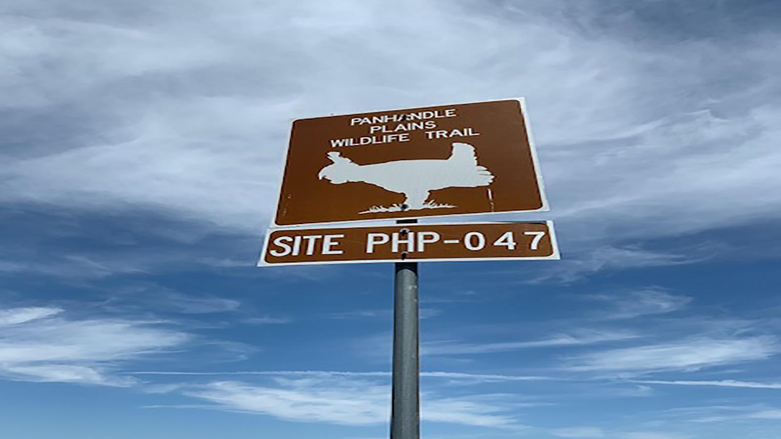 A brown sign at Blue West Road showing where the wildlife trail begins. 