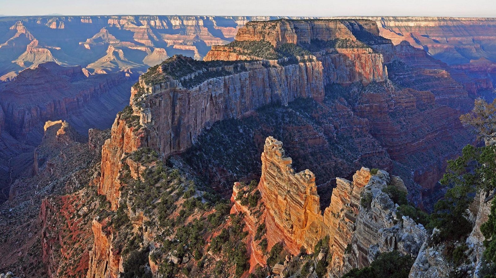 A fin of rock extends into the distant canyon, sunset bathes the rocks in golden light