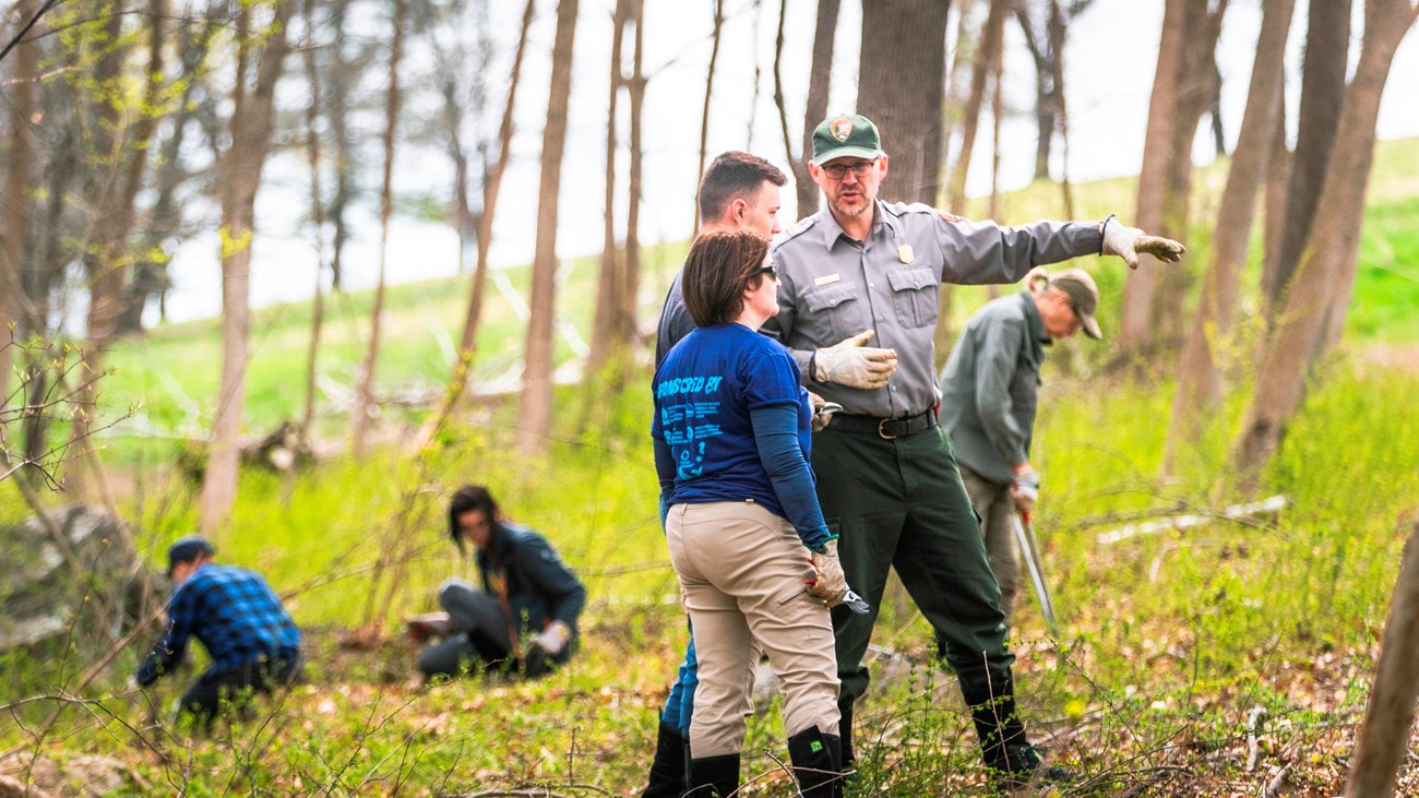 A ranger in uniform talks to a group of volunteers in a grassy and wooded area