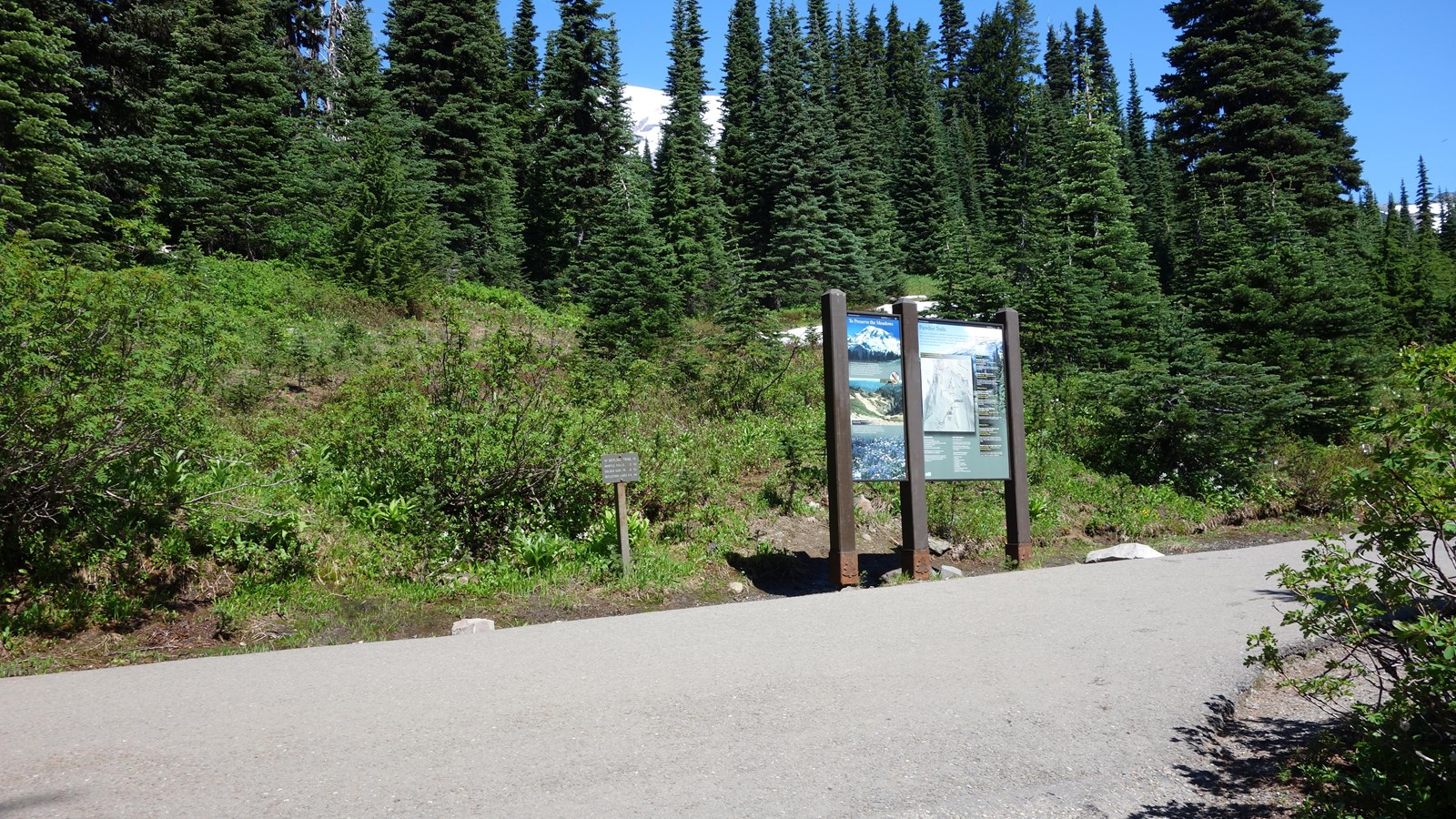 A large trail sign stands next to a paved trail with Mount Rainier visible between the trees.
