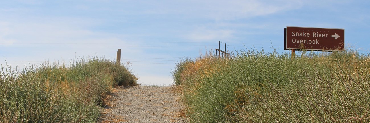 gravel trail leading up small but steep hill to the Snake River overlook parking