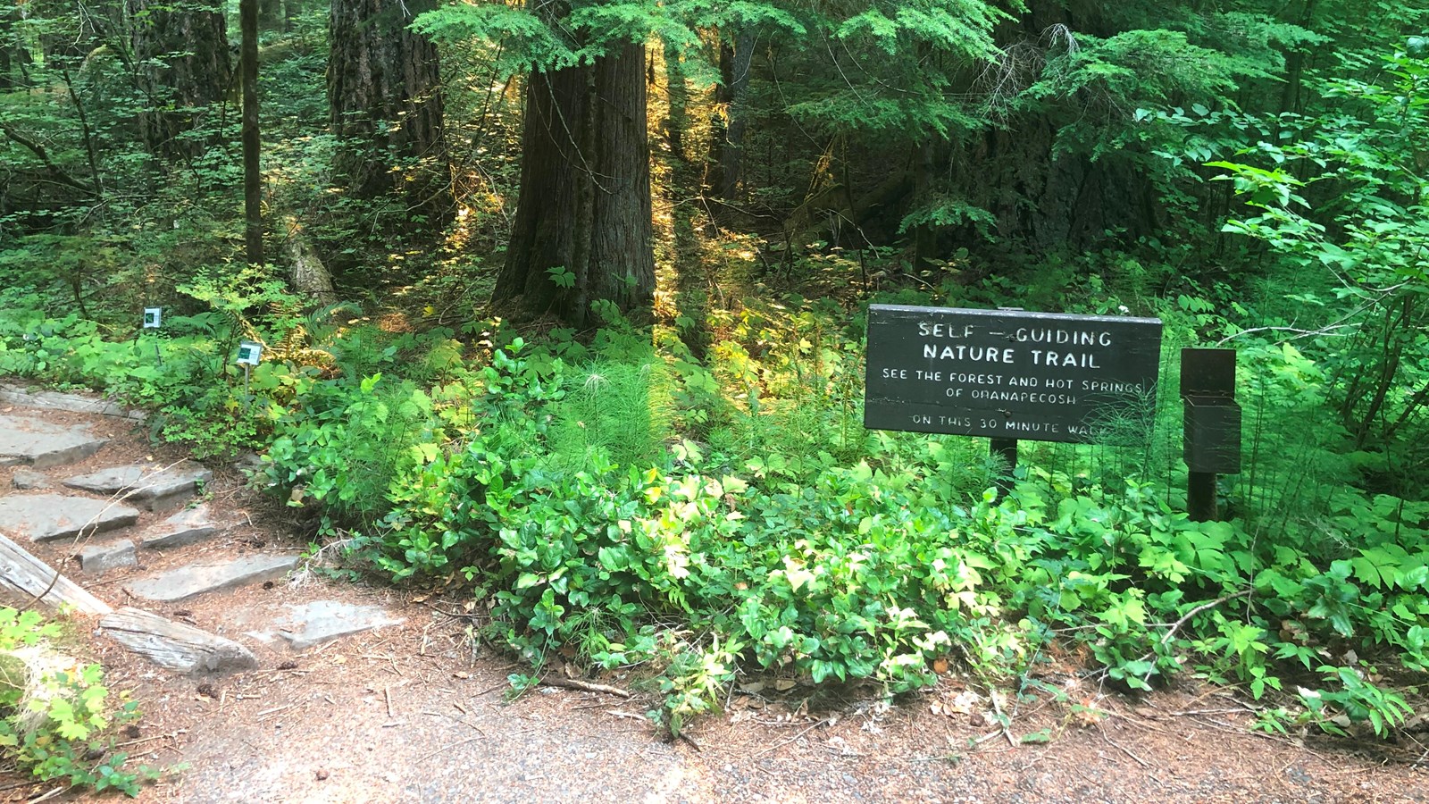 A trail leads into the forest, to the right of the trail a brown sign with white text.