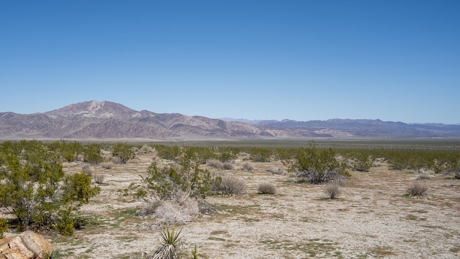 A large open desert landscape with mountains in the distance.