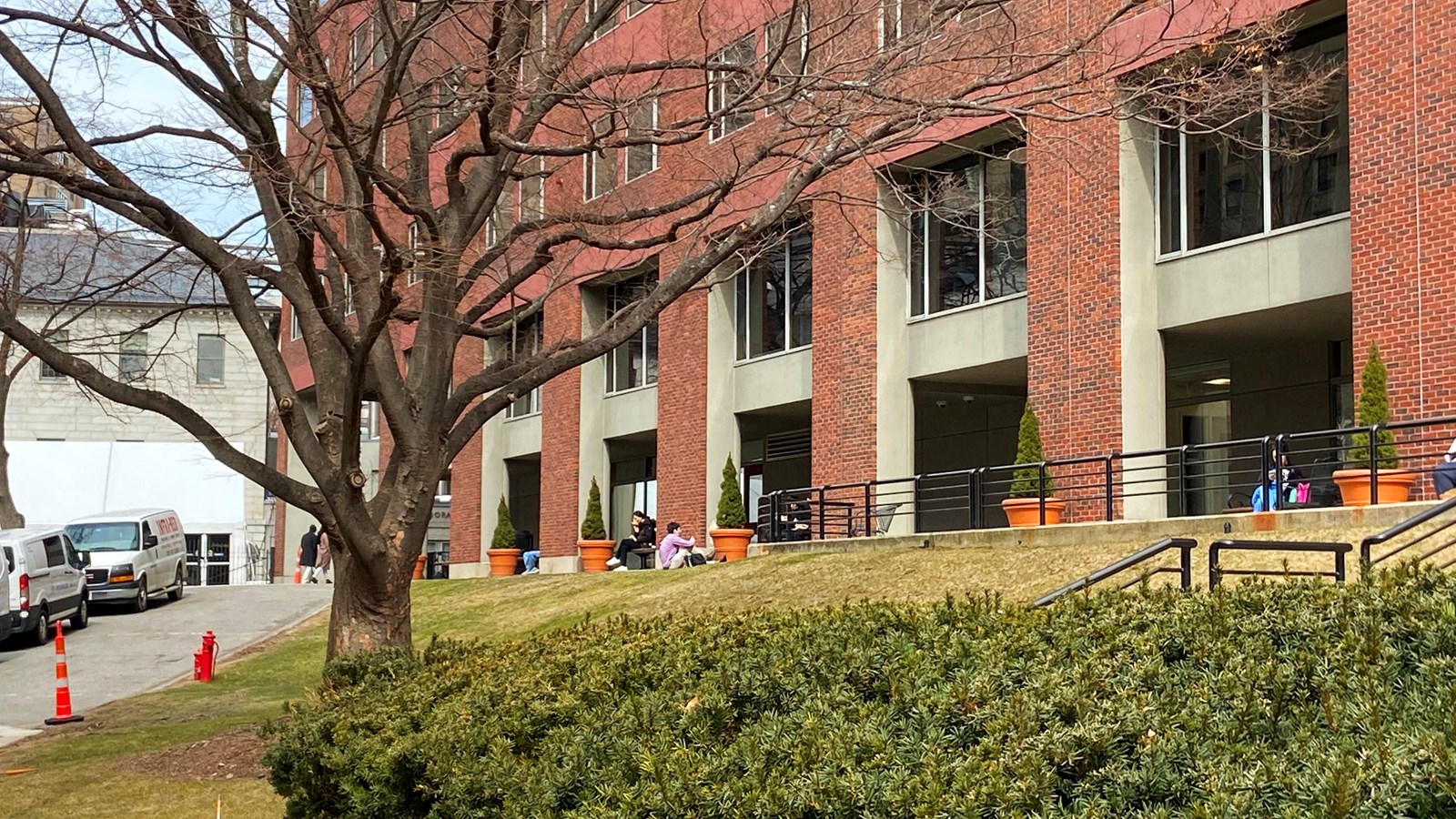 A small grassy hill leading up to a large brick building. A bare tree is at the bottom of the hill.