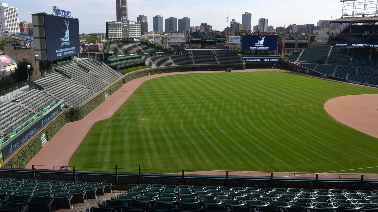 Wrigley Field, showing empty stadium and the ivy wall