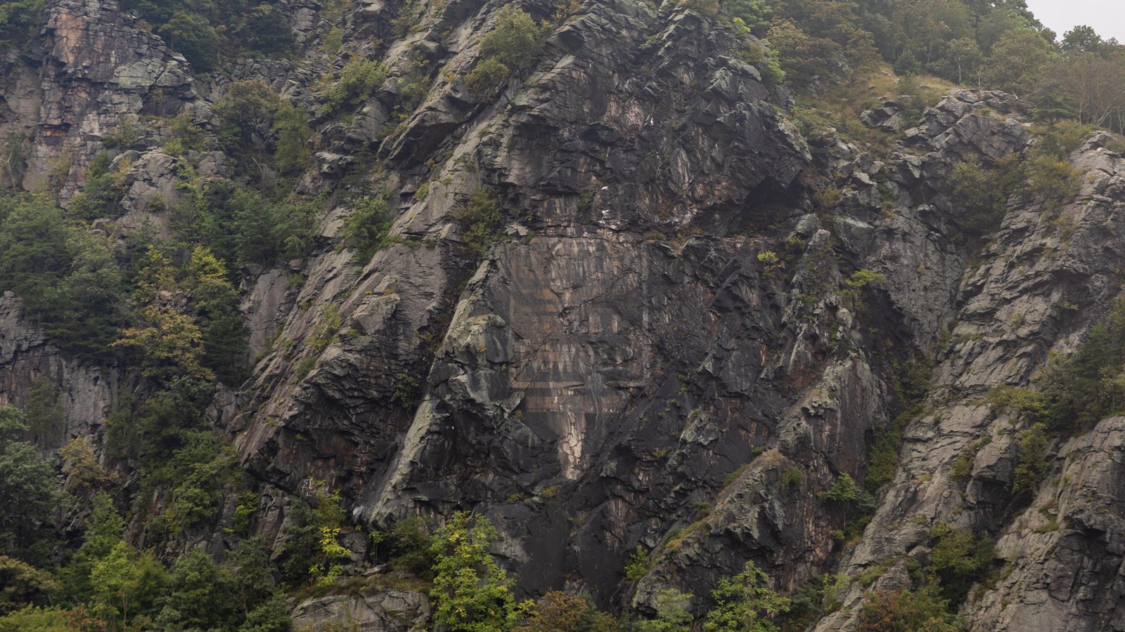 A rocky cliff face with vegetation and a faded painted rectangle with mostly illegible lettering.