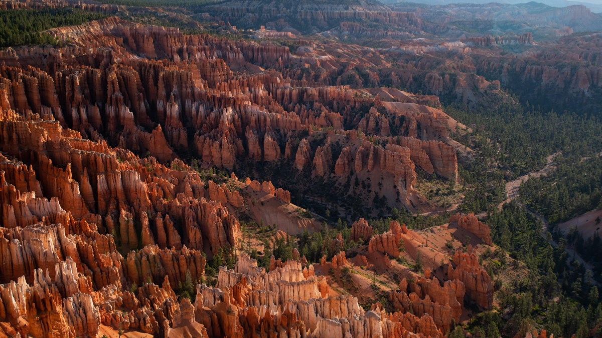 A vibrant landscape of red and white limestone rock spires stand in rows among trees and steep cliff
