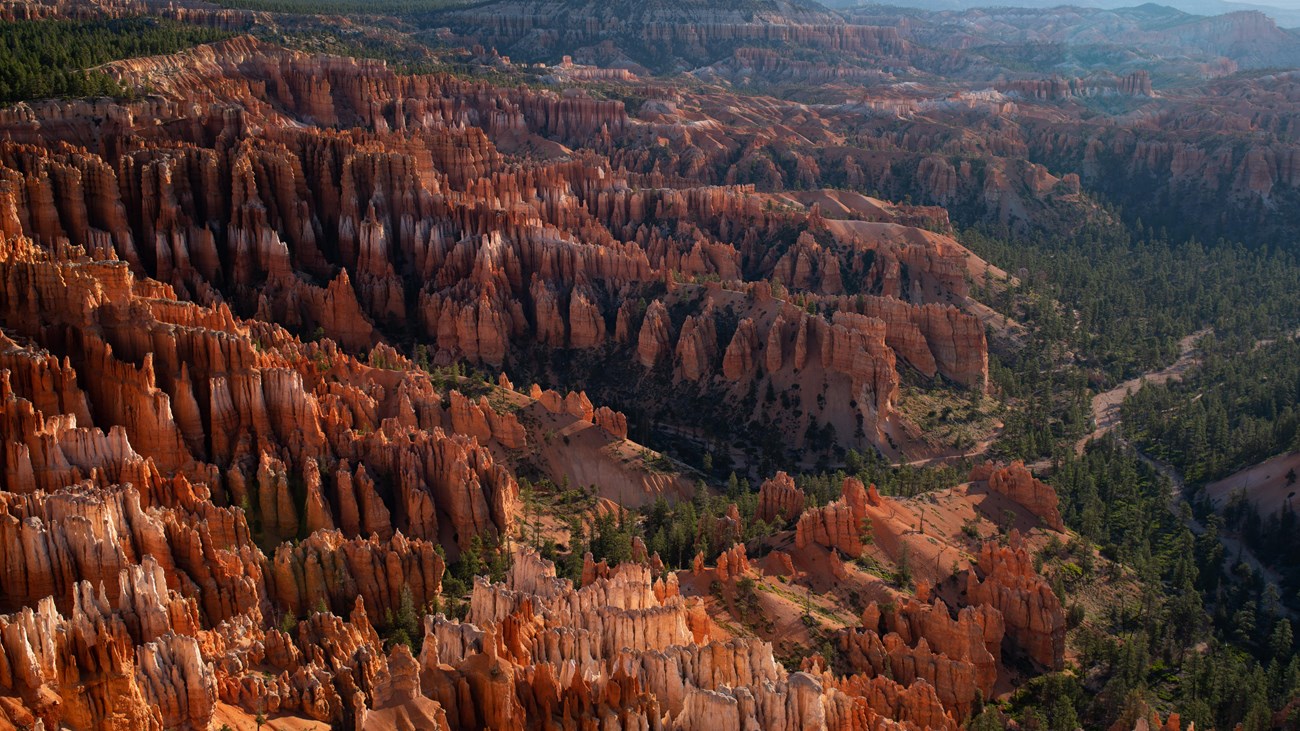 A vibrant landscape of red and white limestone rock spires stand in rows among trees and steep cliff