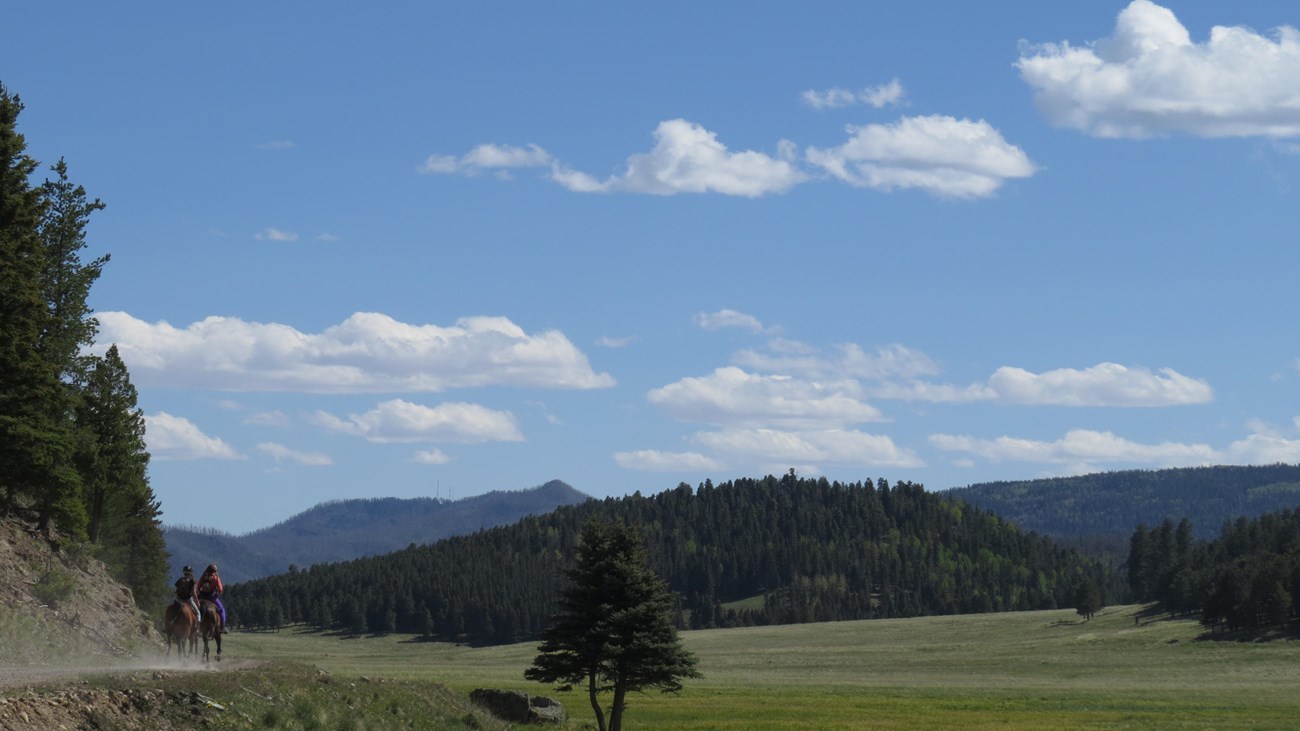 Two people ride horses along a gravel road through a montane grassland.