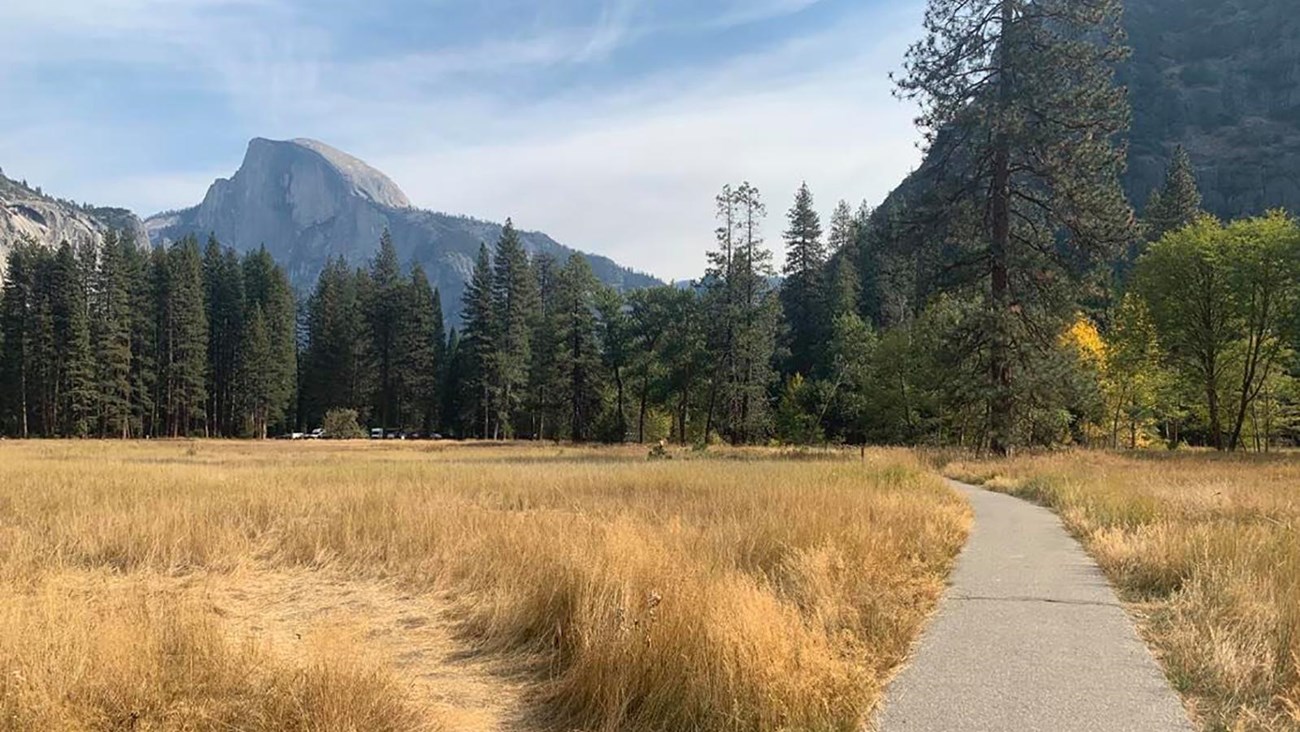 Cook\'s meadow in fall with brown vegetation and a paved trail with Half Dome in background