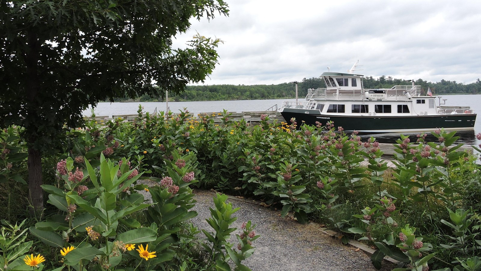 Yellow and pink flowers along a path, boat and water in background