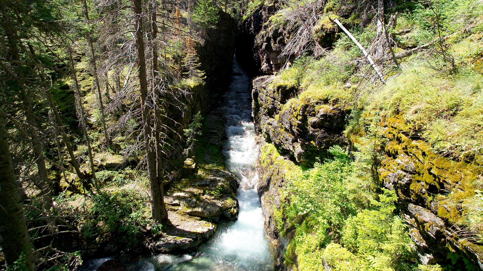 A deep, narrow gorge with a creek flowing through it