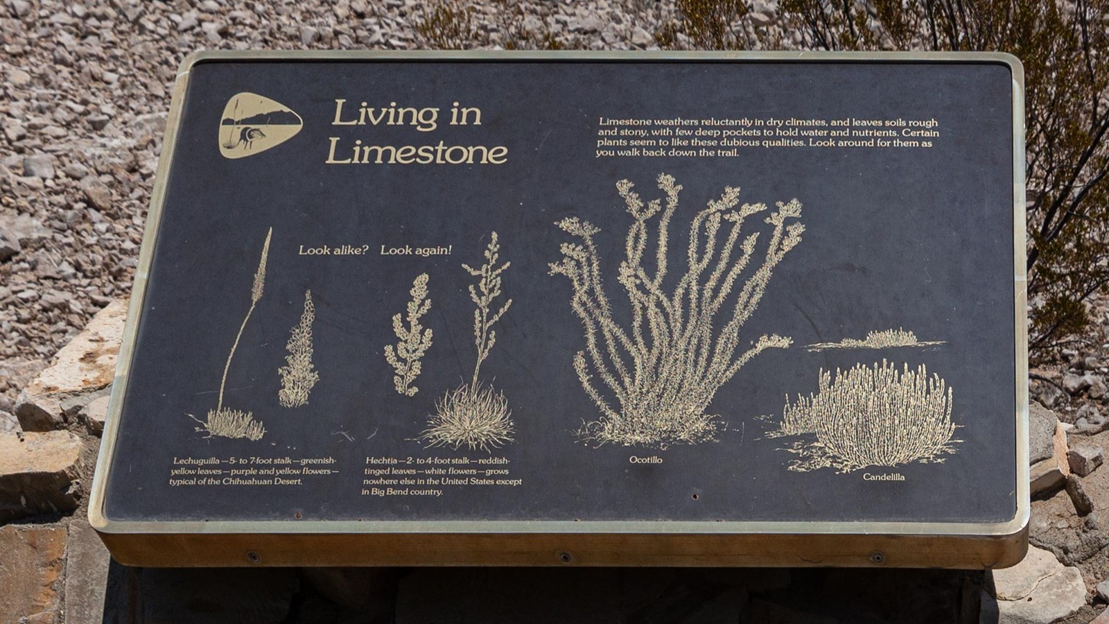 A metal sign attached to a rock base sits on the side of a low, rocky hill. 