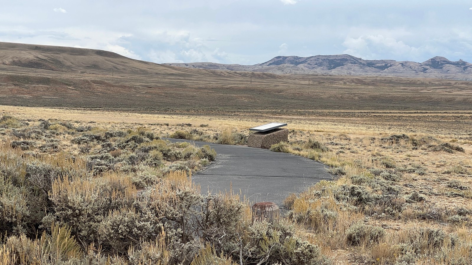 Vast desert of dotted shrubs, looking out on distant desert mountains.