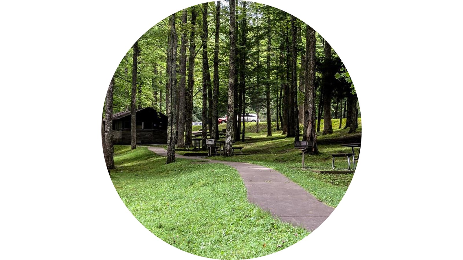 Foreground grass and a sidewalk to picnic tables, grills, and a restroom facility all among trees