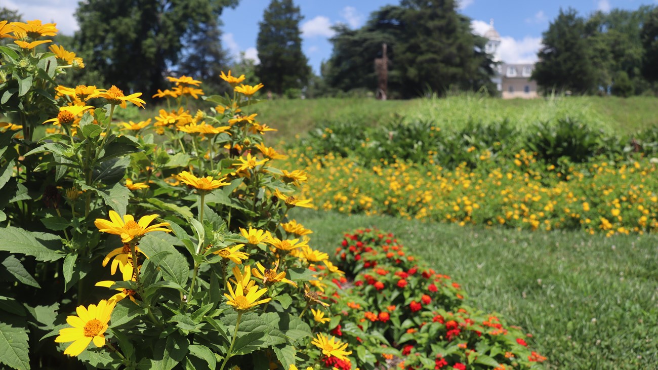 Gardens in bloom with the mansion behind
