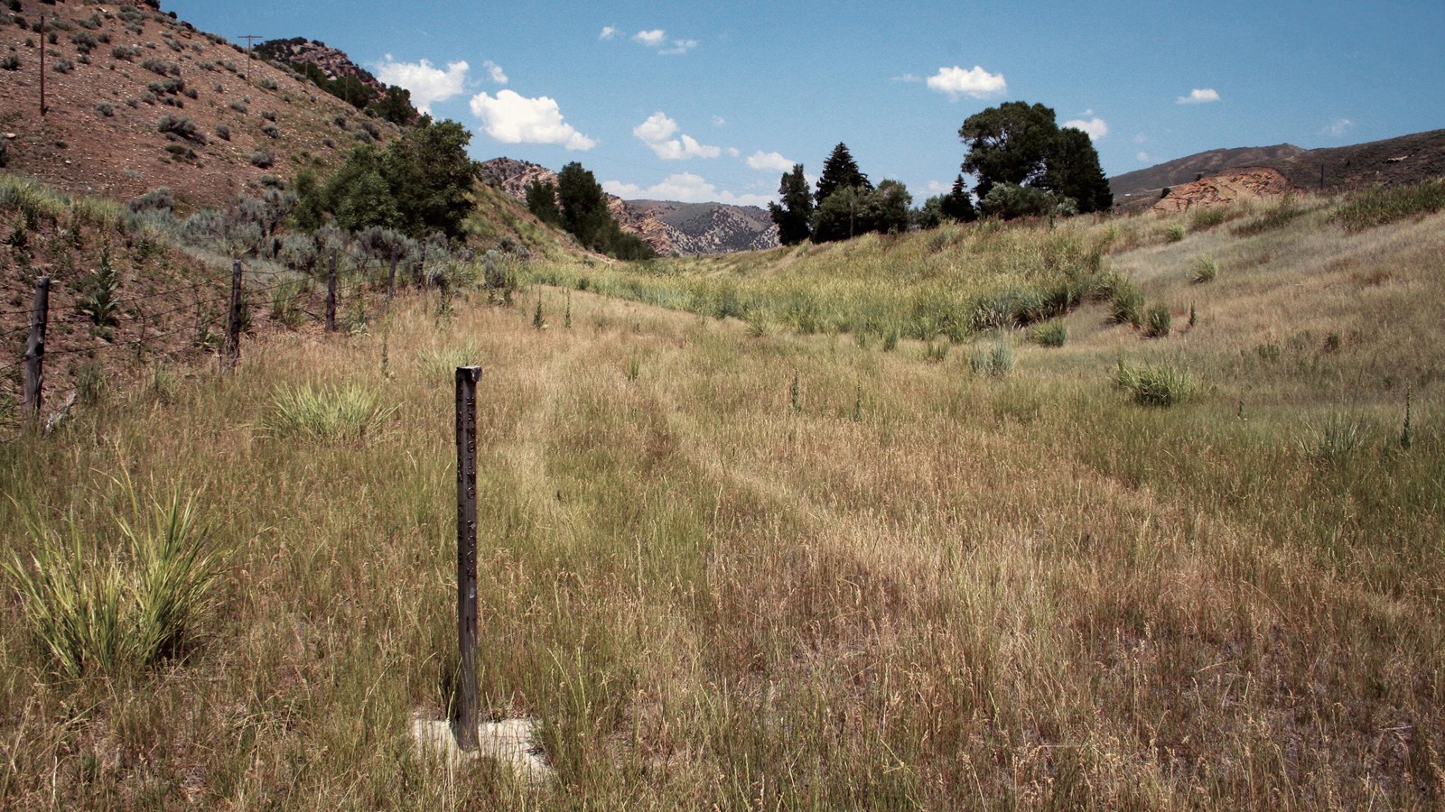 A small brown pole sits in a grassy trough in an open landscape.
