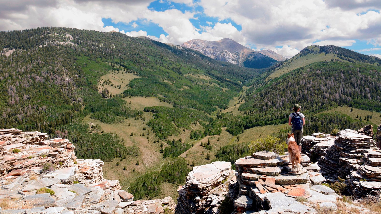 Woman and dog at a mountain viewpoint