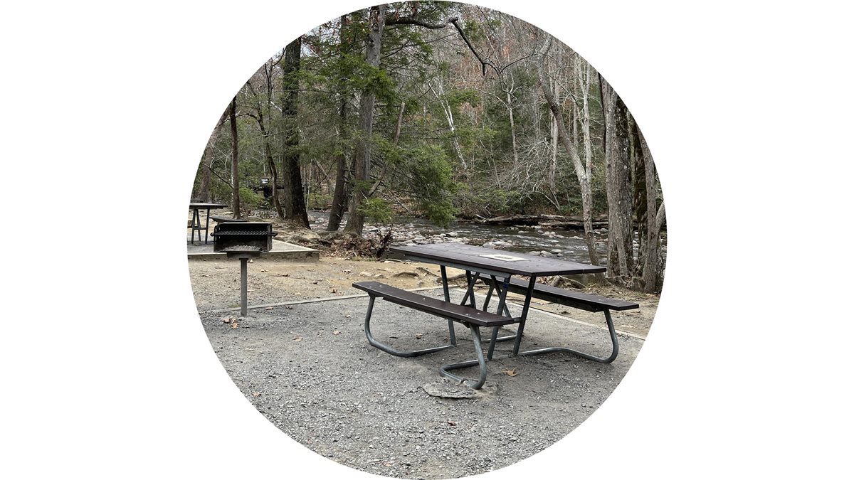 Picnic table and grill beside the creek at Metcalf Bottoms Picnic Area