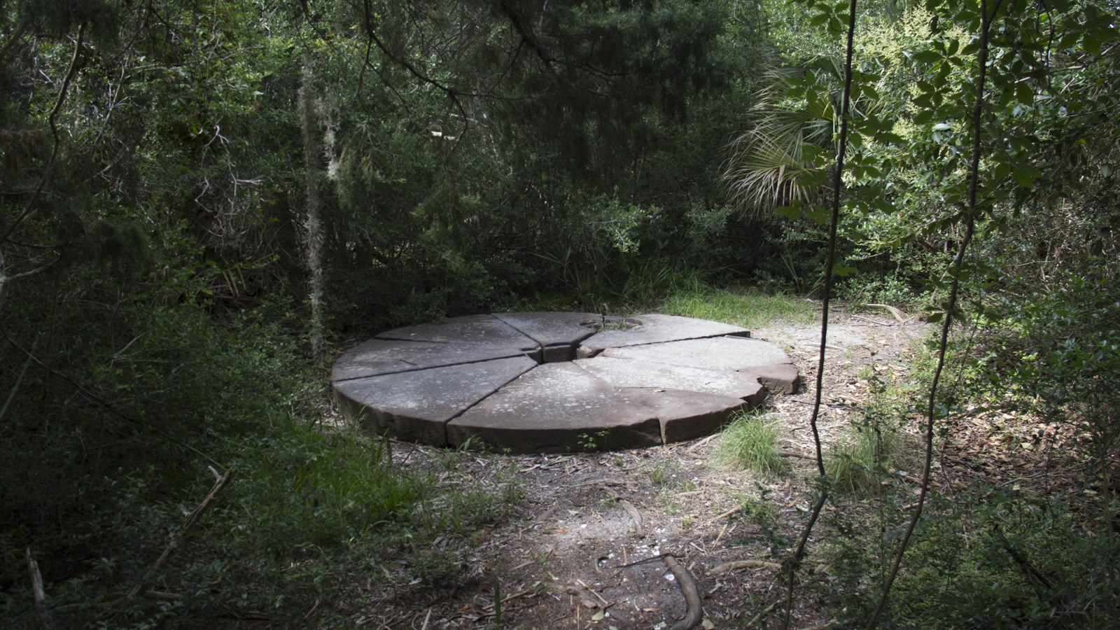 A stone circular lid on the ground in some woods. 