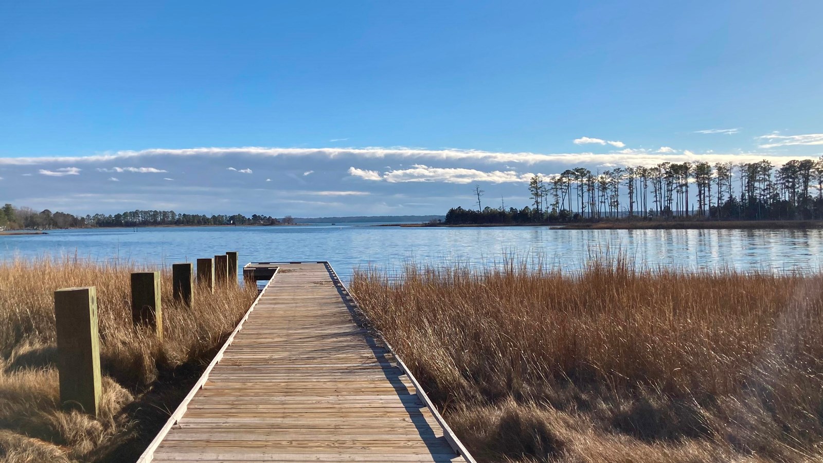 Pier with river and wooded island